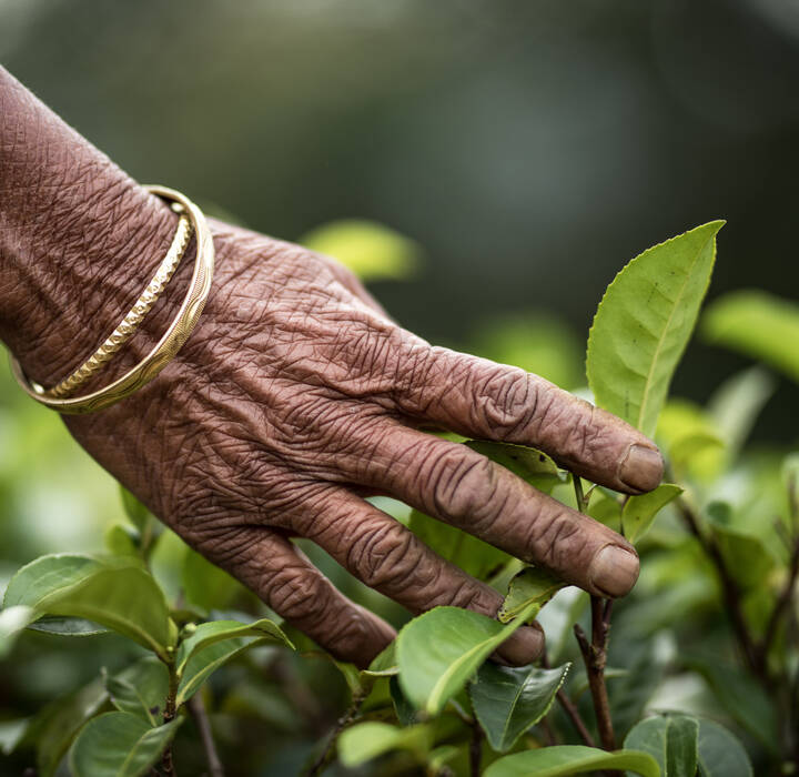 Sustainability and the Bigger Picture